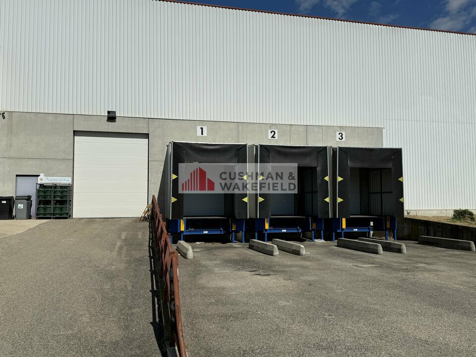 CUSHMAN WAKEFIELD NIMES LOCATION-LOCAL D'ACTIVITE-NIMES-30