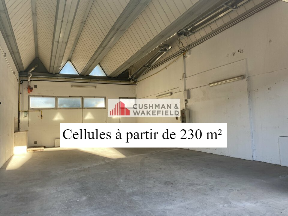 CUSHMAN WAKEFIELD NIMES LOCATION-LOCAL D'ACTIVITE-VENDARGUES-34