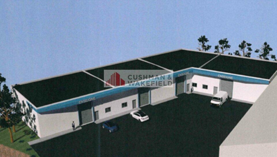 CUSHMAN WAKEFIELD NIMES LOCATION-LOCAL D'ACTIVITE-SETE-34