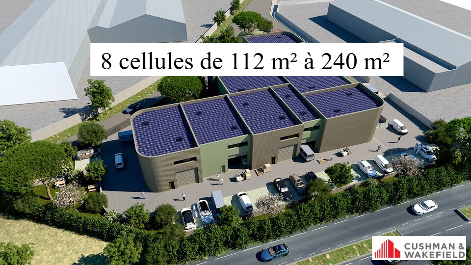 CUSHMAN WAKEFIELD NIMES VENTE-LOCAL D'ACTIVITE-PIOLENC-84