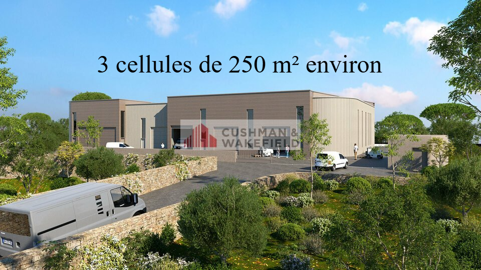 CUSHMAN WAKEFIELD NIMES VENTE-LOCAL D'ACTIVITE-SAINT_GEORGES_D'ORQUES-34