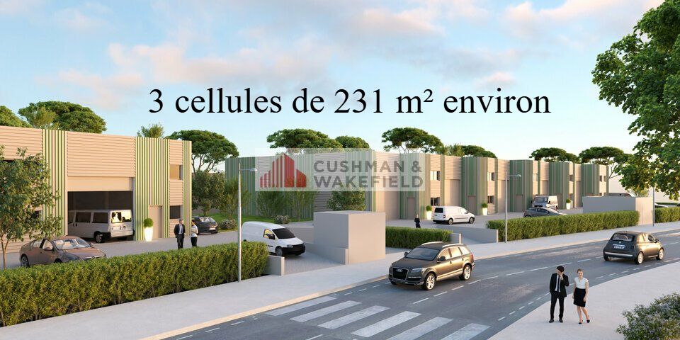 CUSHMAN WAKEFIELD NIMES VENTE-LOCAL D'ACTIVITE-PERPIGNAN-66