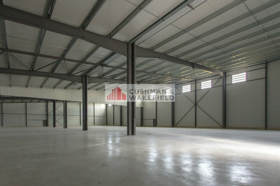 CUSHMAN WAKEFIELD NIMES LOCATION-LOCAL D'ACTIVITE-BEAUCAIRE-30