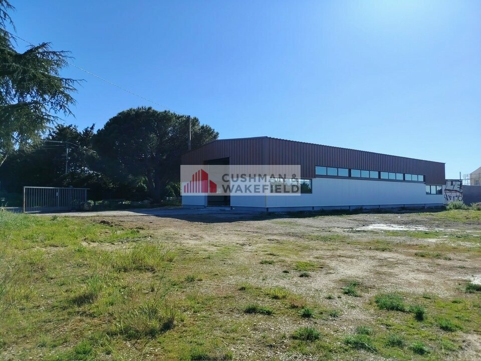 CUSHMAN WAKEFIELD NIMES LOCATION-LOCAL D'ACTIVITE-BOUILLARGUES-30