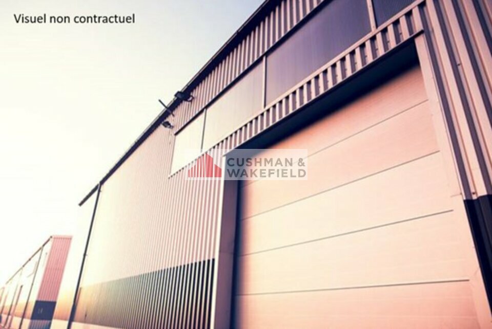CUSHMAN WAKEFIELD NIMES VENTE-LOCAL D'ACTIVITE-VAUVERT-30