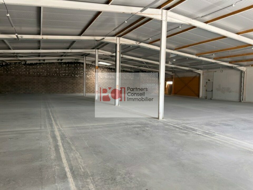 CUSHMAN WAKEFIELD NIMES LOCATION-LOCAL D'ACTIVITE-BOUILLARGUES-30