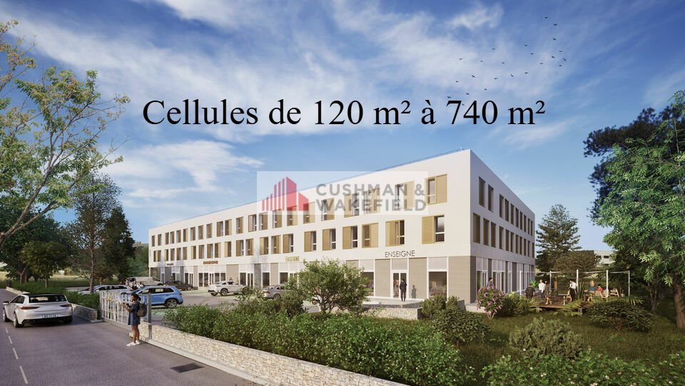 CUSHMAN WAKEFIELD NIMES VENTE-BUREAUX-LATTES-34