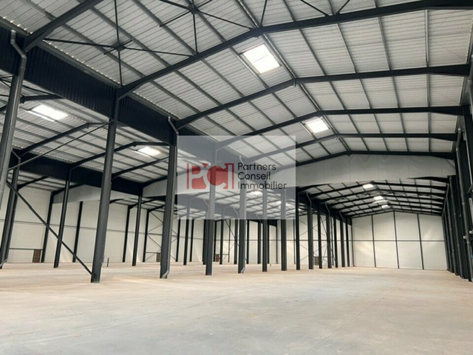 CUSHMAN WAKEFIELD NIMES LOCATION-LOCAL D'ACTIVITE-TARASCON-13