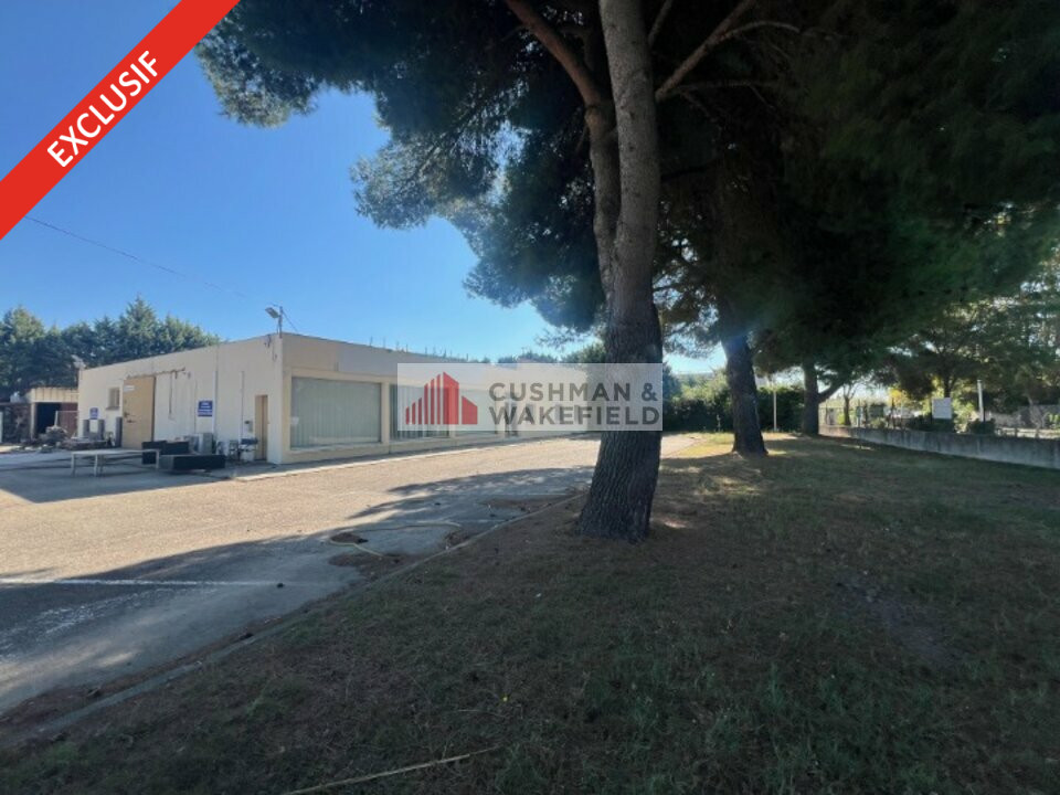 CUSHMAN WAKEFIELD NIMES LOCATION-LOCAL D'ACTIVITE-NIMES-30
