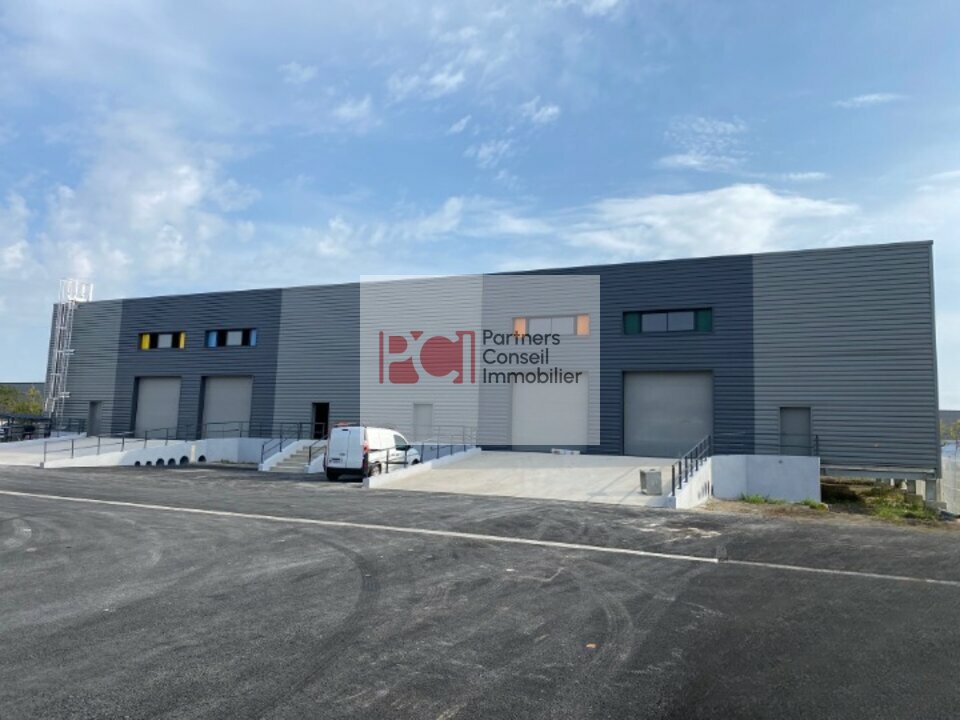 CUSHMAN WAKEFIELD NIMES LOCATION-LOCAL D'ACTIVITE-NIMES-30