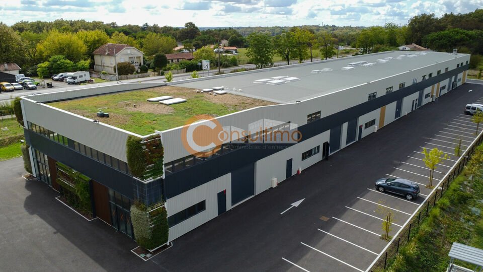 CONSULTIMO LOCATION-LOCAL D'ACTIVITE-SALLEBOEUF-33