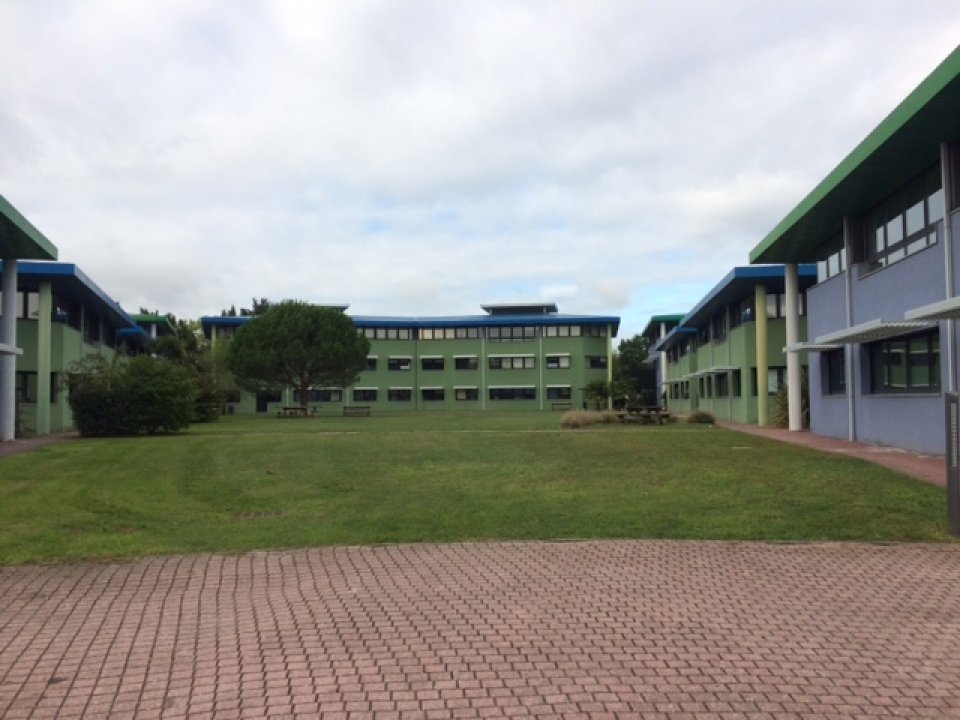 CONSULTIMO LOCATION-BUREAUX-PESSAC-33
