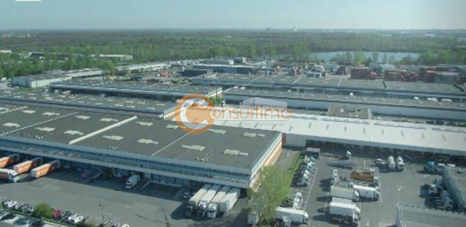 CONSULTIMO LOCATION-LOCAL D'ACTIVITE-BRUGES-33