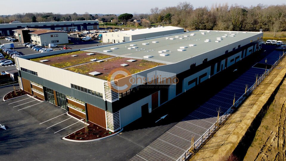 CONSULTIMO VENTE-LOCAL D'ACTIVITE-SALLEBOEUF-33