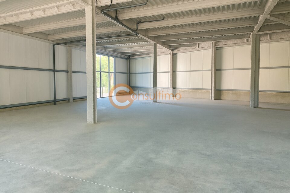 CONSULTIMO LOCATION-LOCAL COMMERCIAL-CARBON_BLANC-33