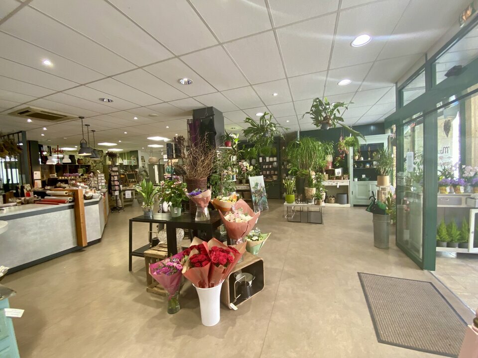 CONSULTIMO LOCATION-LOCAL COMMERCIAL-SAINT_ANDRE_DE_CUBZAC-33