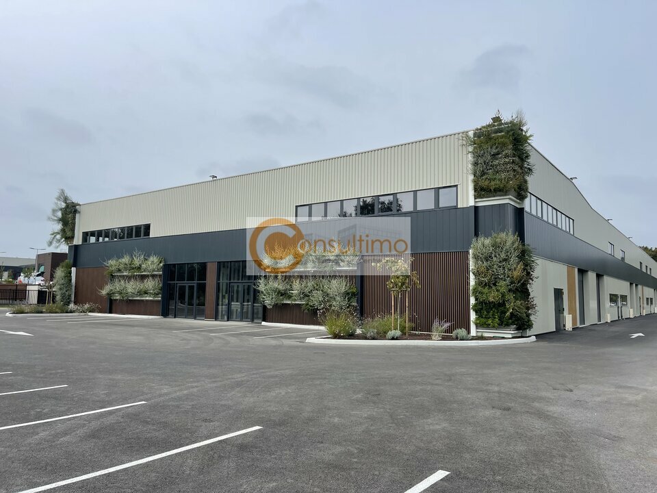 CONSULTIMO VENTE-LOCAL D'ACTIVITE-SALLEBOEUF-33