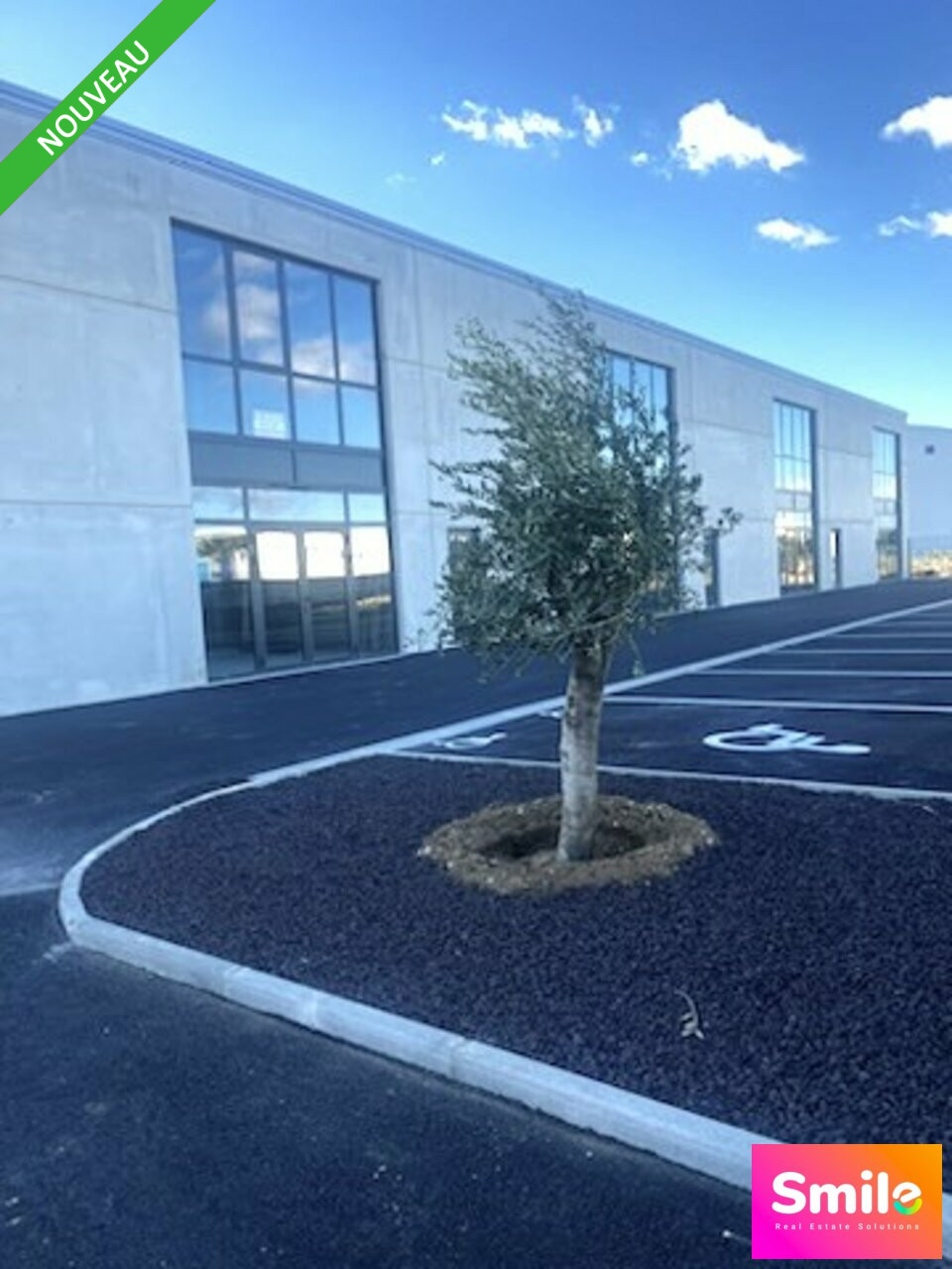 SMILE RES LOCATION-LOCAL D'ACTIVITE-NARBONNE-11