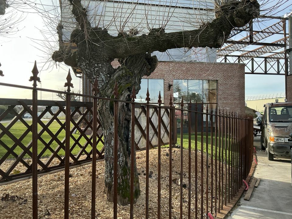 CBRE AXITE VALENCE VENTE-LOCAL D'ACTIVITE-VALENCE-26