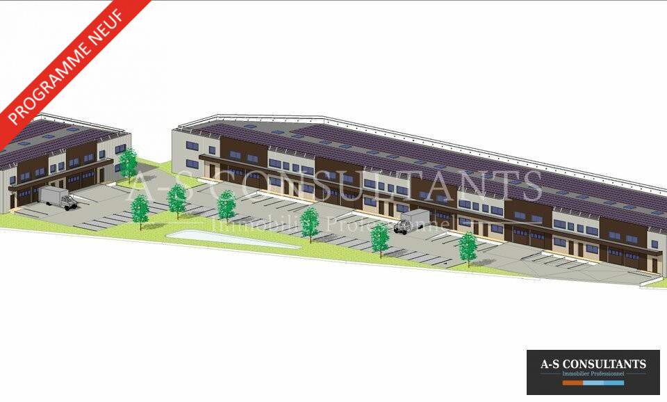 A-S CONSULTANTS VENTE-LOCAL D'ACTIVITE-CREMIEU-38