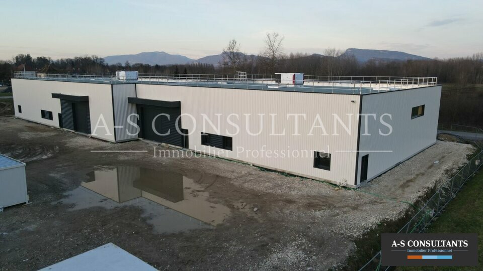A-S CONSULTANTS VENTE-LOCAL D'ACTIVITE-GRANIEU-38