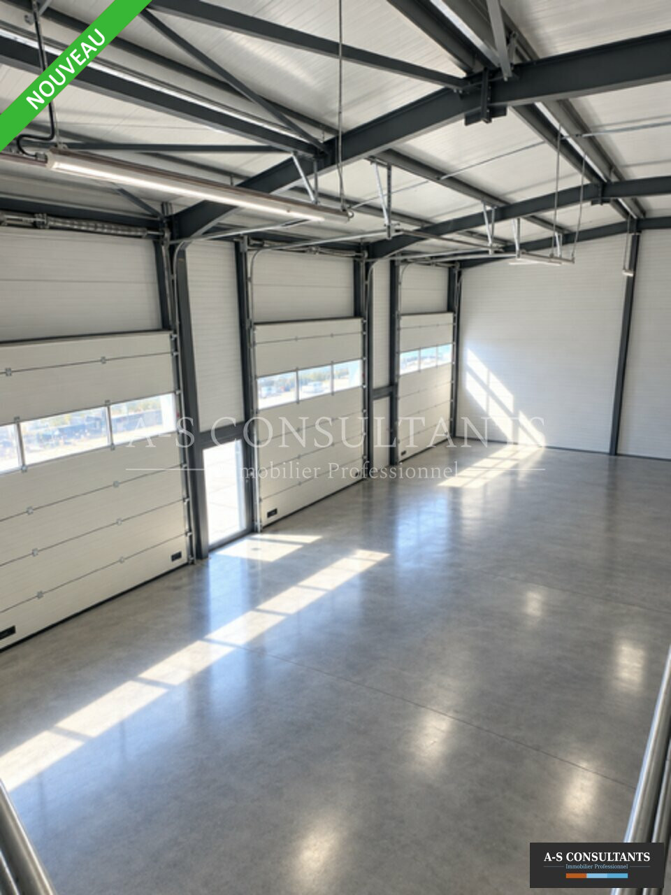 A-S CONSULTANTS LOCATION-LOCAL D'ACTIVITE-ARBIN-73