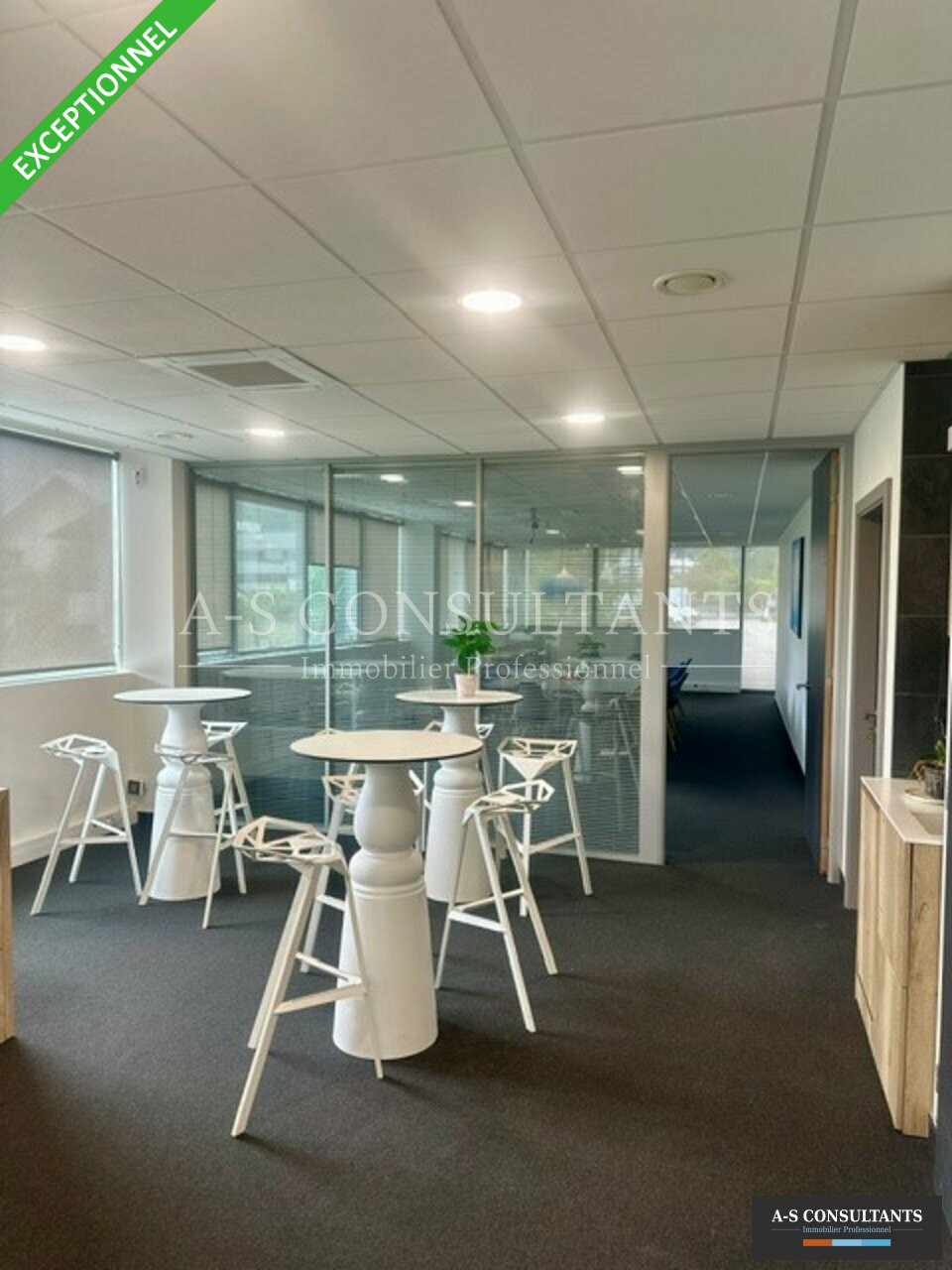 A-S CONSULTANTS LOCATION-BUREAUX-ALBERTVILLE-73