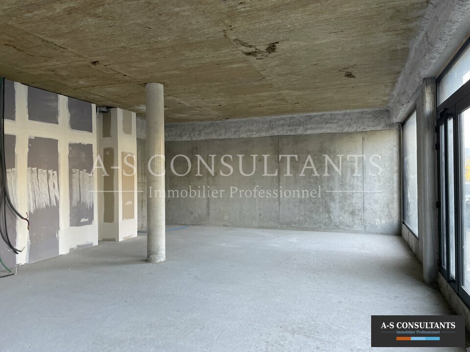 A-S CONSULTANTS LOCATION-BUREAUX-SAINT_GENIS_POUILLY-01