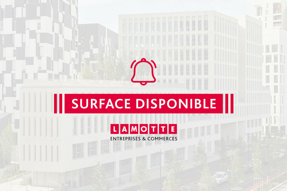 LAMOTTE ENTREPRISES   COMMERCES LOCATION-BUREAUX-NANTES-44