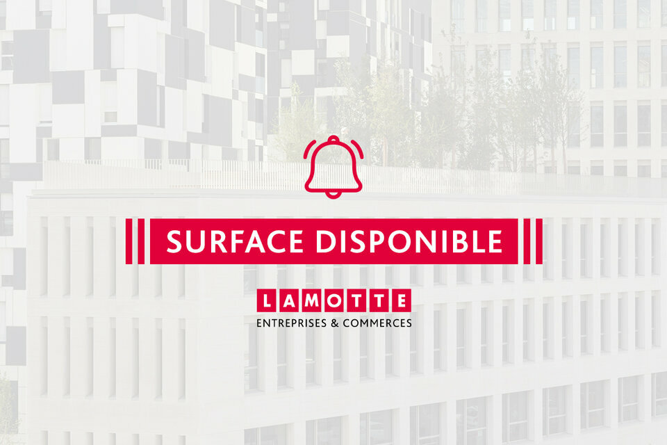 LAMOTTE ENTREPRISES   COMMERCES LOCATION-BUREAUX-REZE-44