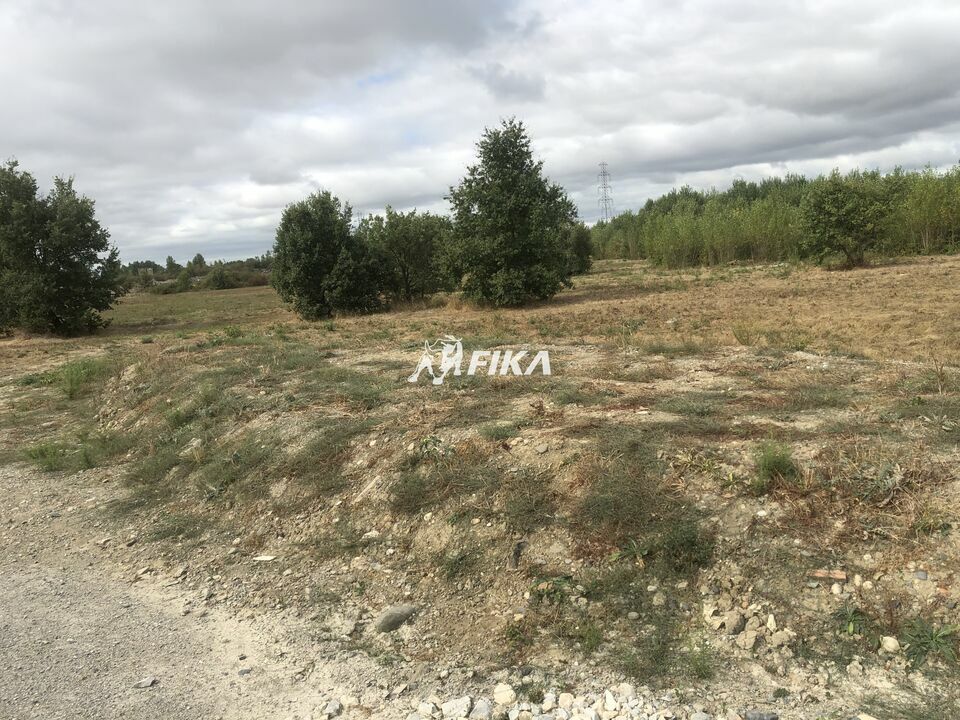 FIKA VENTE-TERRAIN-CINTEGABELLE-31