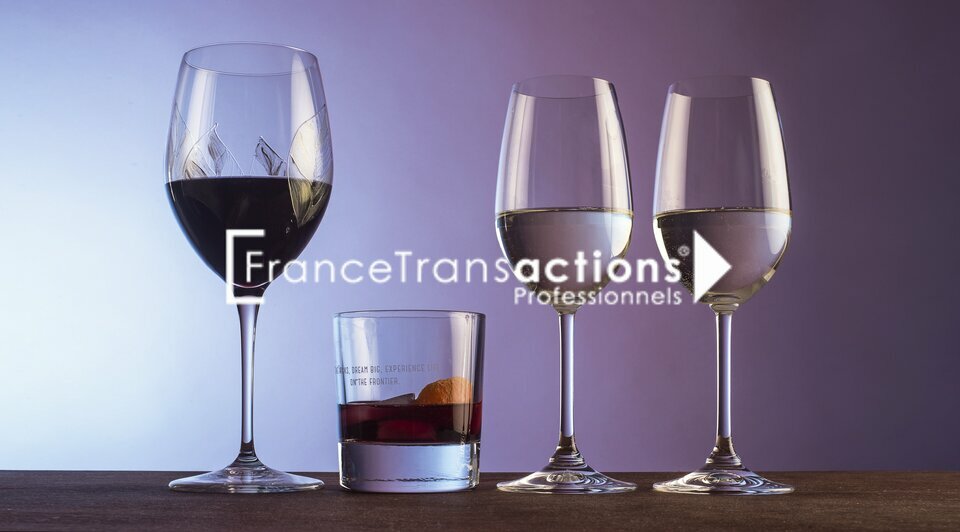 FRANCE TRANSACTIONS VENTE-LOCAL COMMERCIAL-TOULOUSE-31
