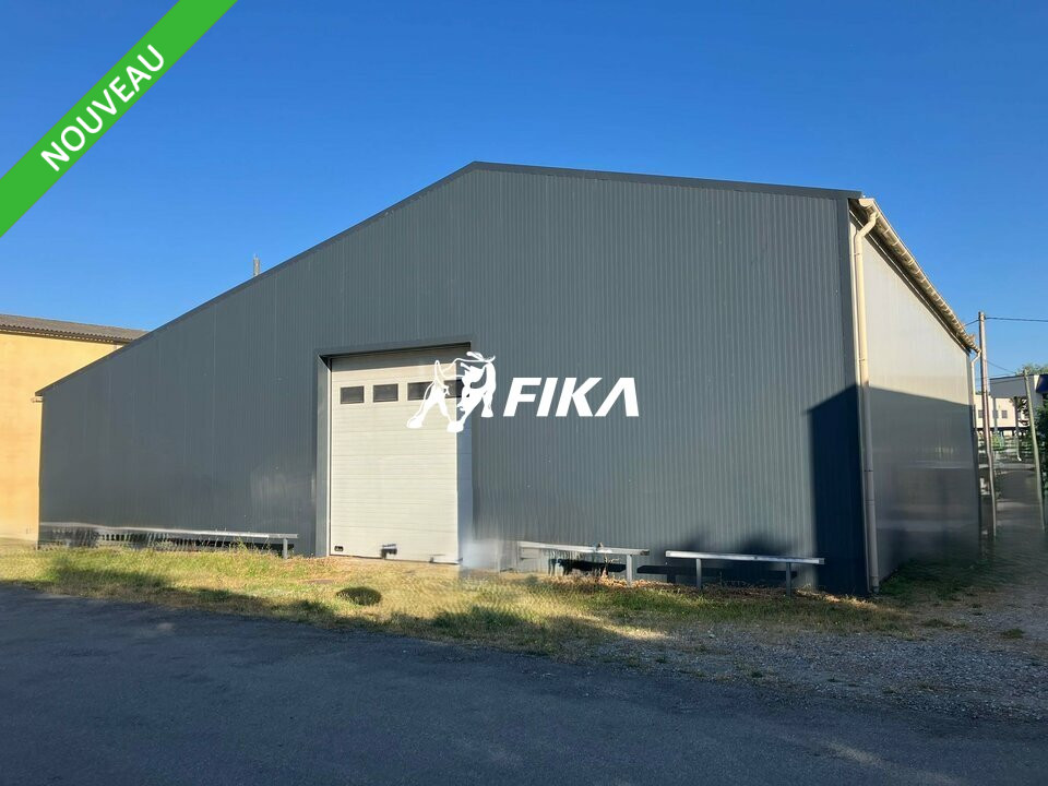 FIKA VENTE-LOCAL D'ACTIVITE-CASTANET-TOLOSAN-31