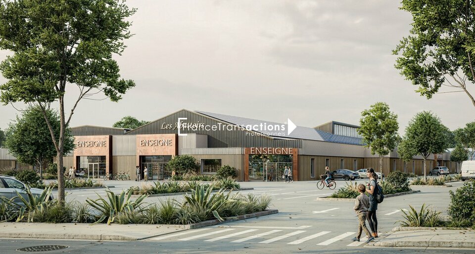 FRANCE TRANSACTIONS VENTE-TERRAIN-CASTELNAUDARY-11