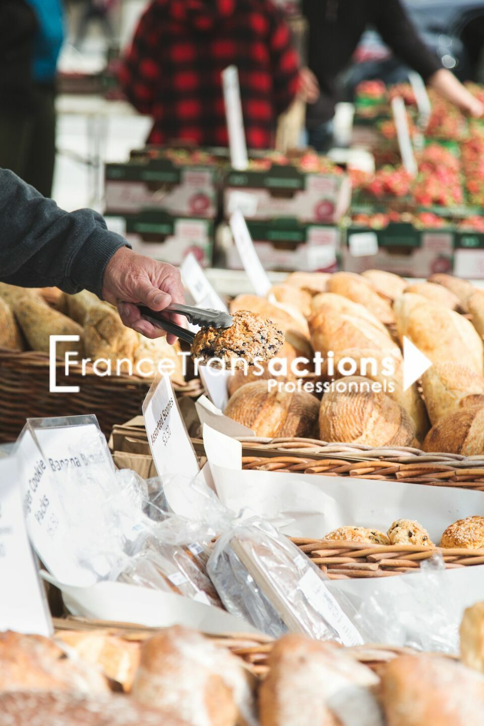 FRANCE TRANSACTIONS LOCATION-LOCAL COMMERCIAL-LEGUEVIN-31