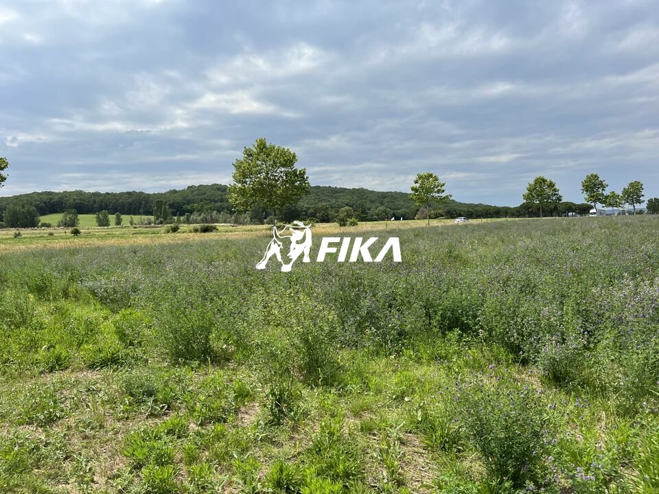 FIKA VENTE-TERRAIN-LAVAUR-81
