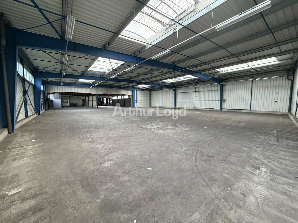 ARTHUR LOYD REIMS LOCATION-LOCAL D'ACTIVITE-REIMS-51