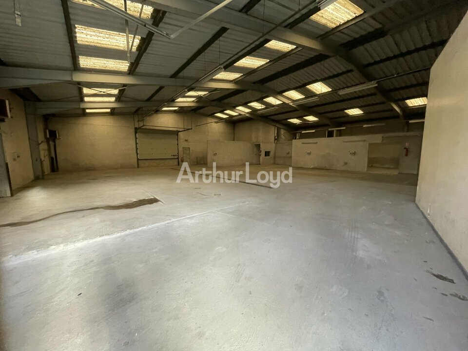 ARTHUR LOYD REIMS LOCATION-LOCAL D'ACTIVITE-EPERNAY-51