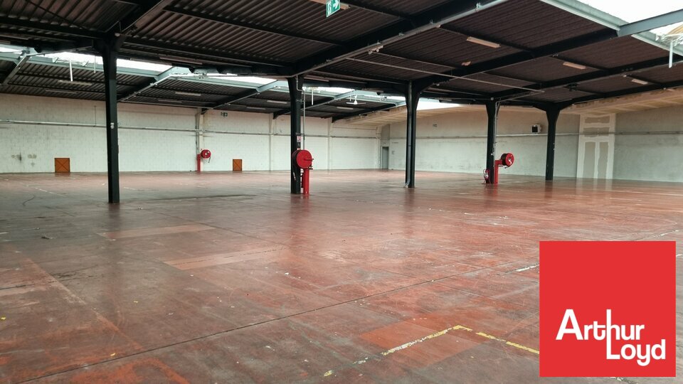ARTHUR LOYD POITOU VENDEE VENTE-ENTREPOT-POITIERS-86