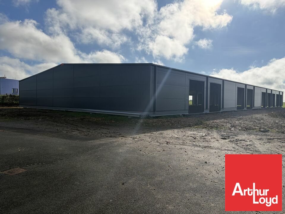 ARTHUR LOYD POITOU VENDEE LOCATION-LOCAL D'ACTIVITE-CHAURAY-79