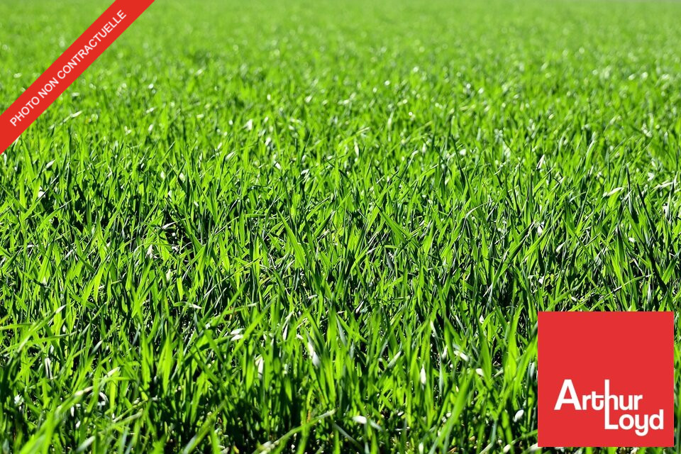 ARTHUR LOYD POITOU VENDEE VENTE-TERRAIN-INGRANDES-86