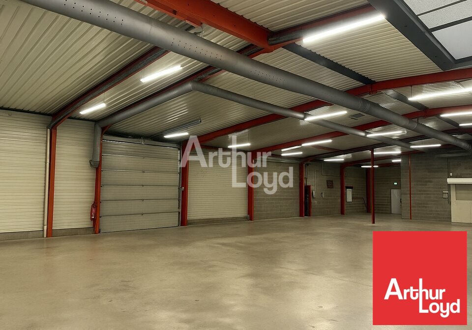 ARTHUR LOYD POITOU VENDEE LOCATION-LOCAL COMMERCIAL-LUCON-85