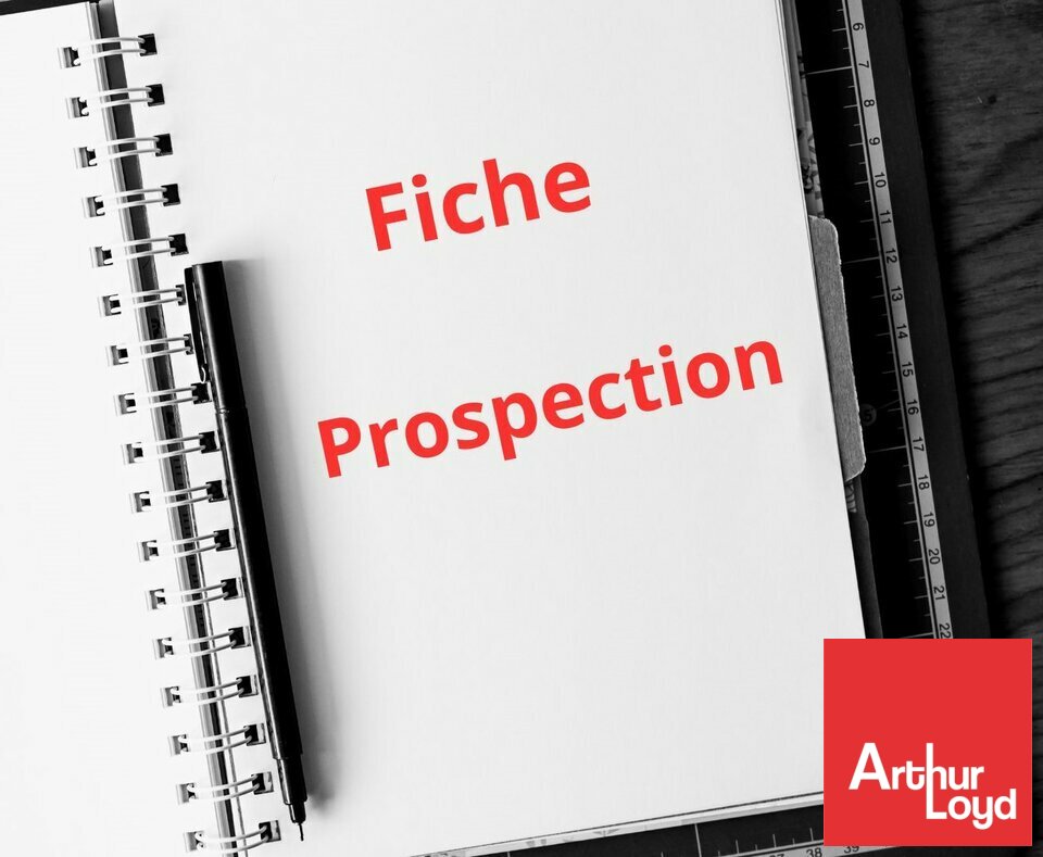 ARTHUR LOYD POITOU VENDEE VENTE-TERRAIN-INGRANDES-86