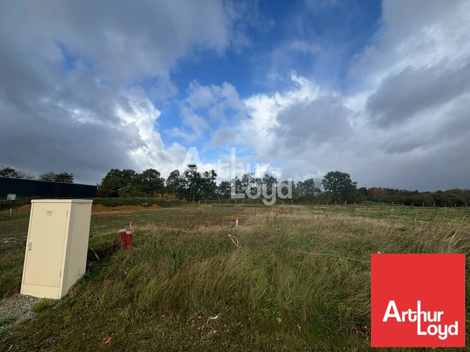 ARTHUR LOYD POITOU VENDEE VENTE-TERRAIN-NIEUL-LE-DOLENT-85