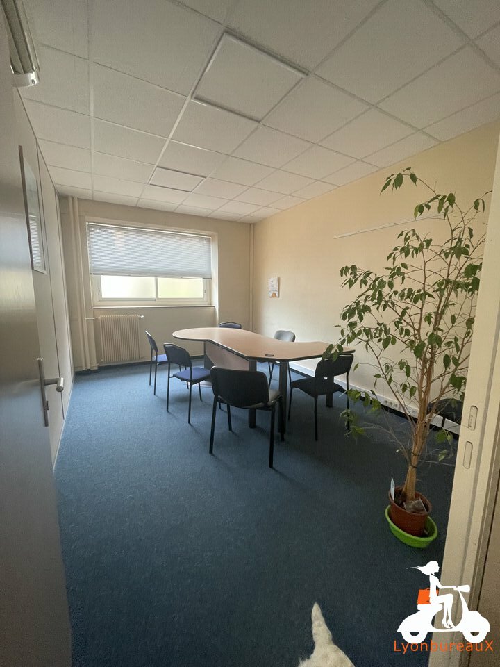 LYON BUREAUX LOCATION-BUREAUX-LYON_4-69