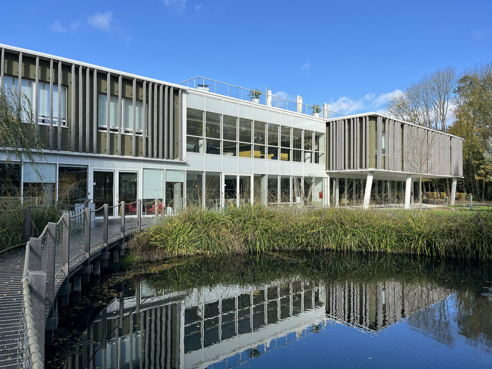 ARROW LILLE LOCATION-BUREAUX-WASQUEHAL-59