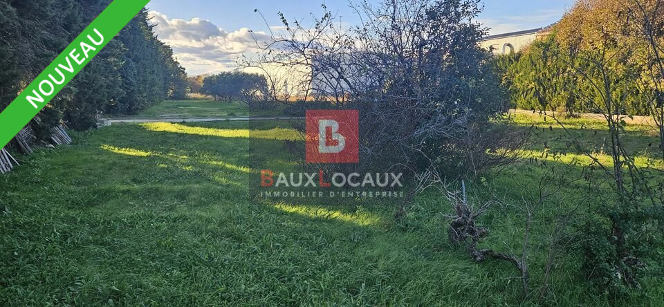 BAUX LOCAUX LOCATION-TERRAIN-CARPENTRAS-84