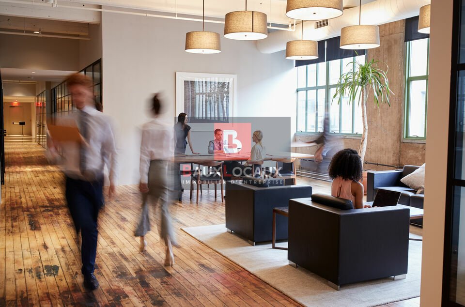 BAUX LOCAUX LOCATION-BUREAUX-ISTRES-13