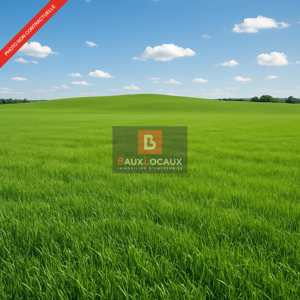 BAUX LOCAUX VENTE-TERRAIN-FOS_SUR_MER-13