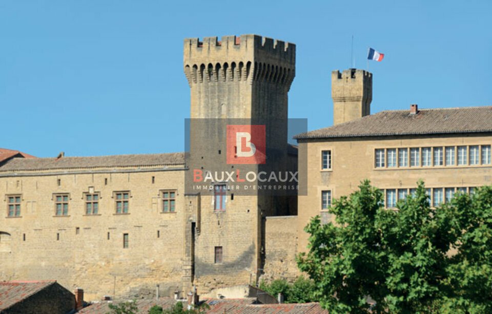 BAUX LOCAUX VENTE-AUTRE LOCAL-SALON_DE_PROVENCE-13